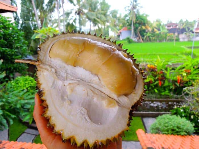 Durian Bali