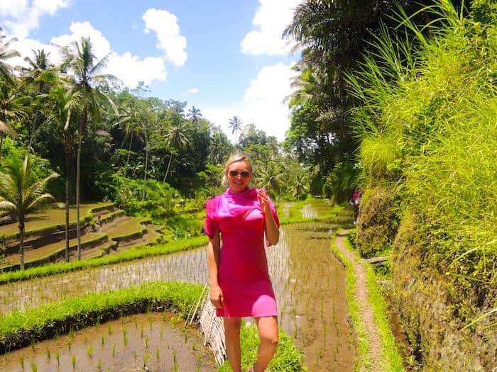Reisfelder Bali