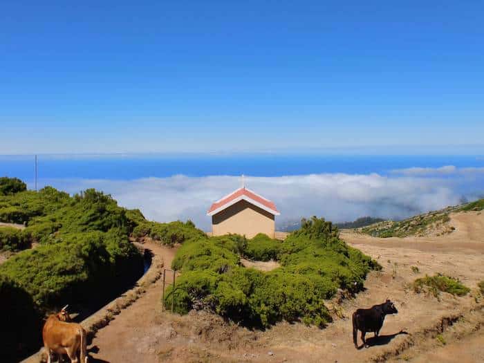 Madeira: ein Paradies des Friedens und der Ruhe