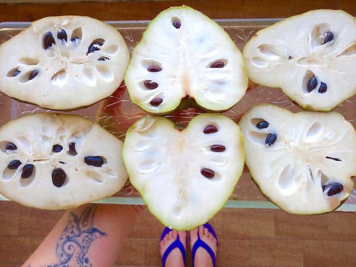 Cherimoya