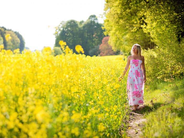 abnehmen leicht gemacht