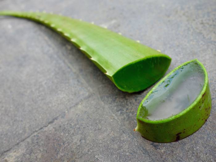 Aloe Vera 7 Einfache Anwendungen Die Funktionieren Rawexotic