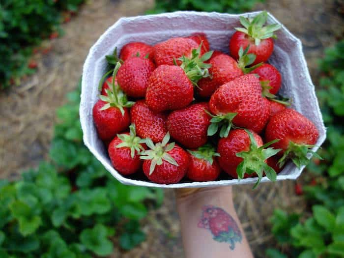 ernährungsumstellung