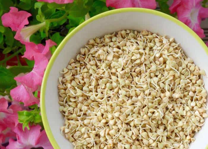 Muskelaufbau Ernährung