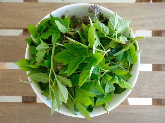 Smoothie zum Abnehmen